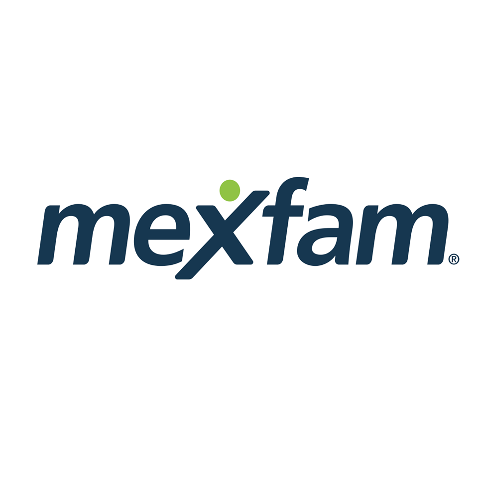 Logo MexFem